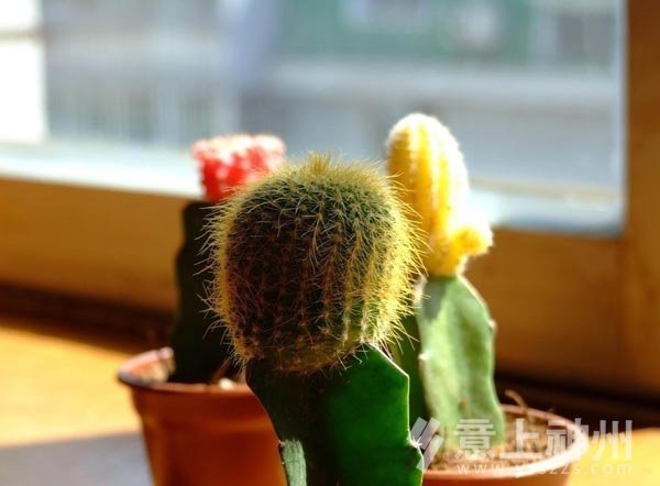 �Ҿ��b���b���O(sh��)Ӌ(j��)�����O(sh��)Ӌ(j��)�Gֲ�Ҿ�