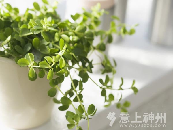 �b��b���b���O(sh��)Ӌ(j��)�Ҿ��b��Ʒ�|(zh��)�Ҿ�