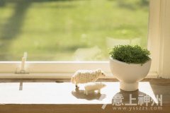 �p�ٰ�����ô�^���Ҿ��b����������