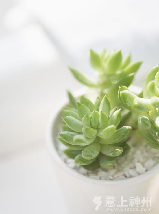 ��ȩ��ζ�`�^(q��),�Ӽ��b��,�h(hu��n)���Ӽ�,�b��b��