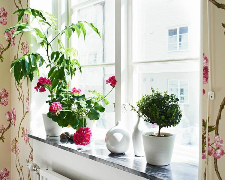 ��ͥ�b�ޑ�(y��ng)ԓ��κ��������b���A(y��)��